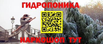 дживик Долгопрудный