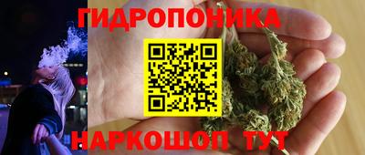 гидра Добрянка