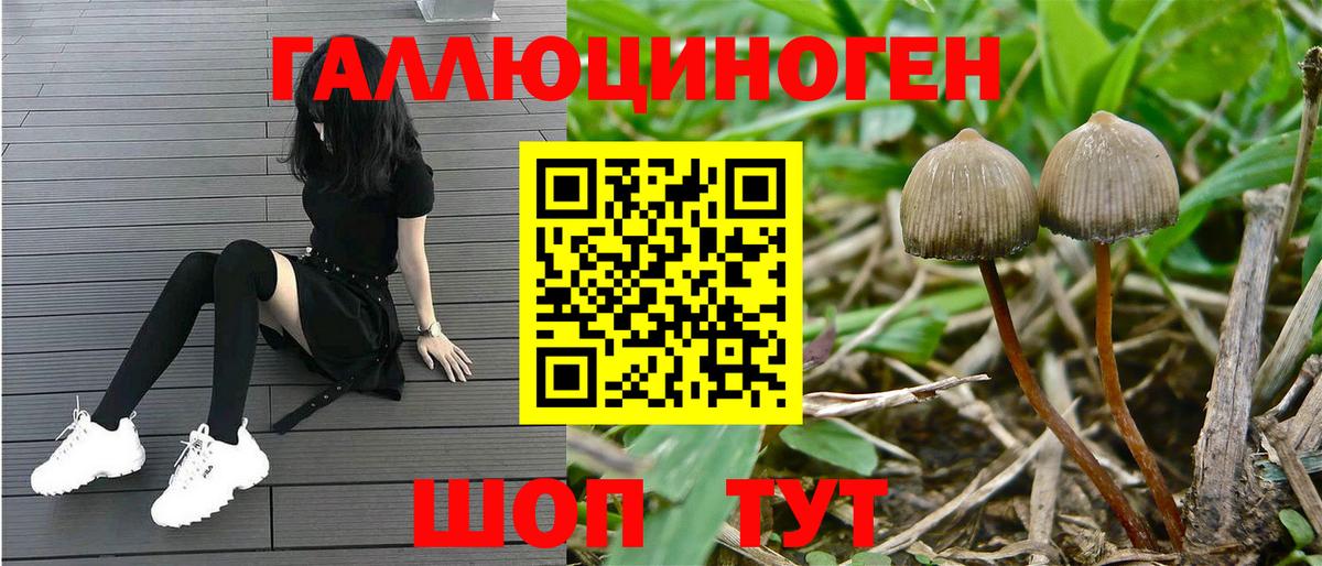 Псилоцибиновые грибы Magic Shrooms  Вход с VPN  Домодедово 